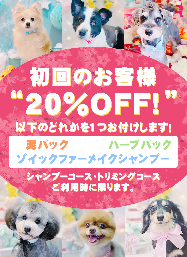 トップイメージ