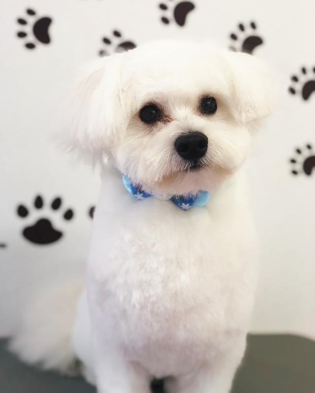 今日のお友達☺