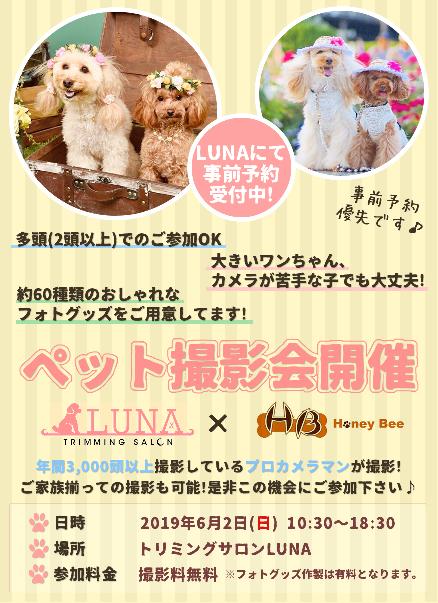 【ペット撮影会開催】