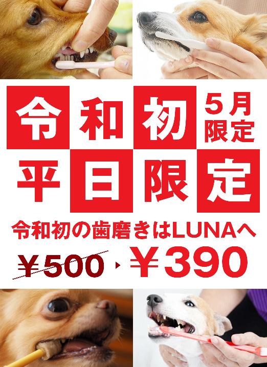 【令和初平日限定】