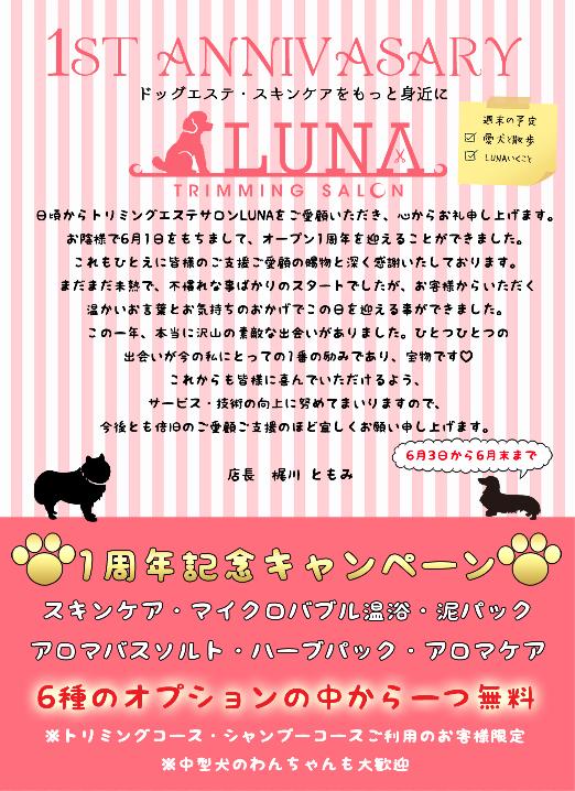 【1周年記念キャンペーン】