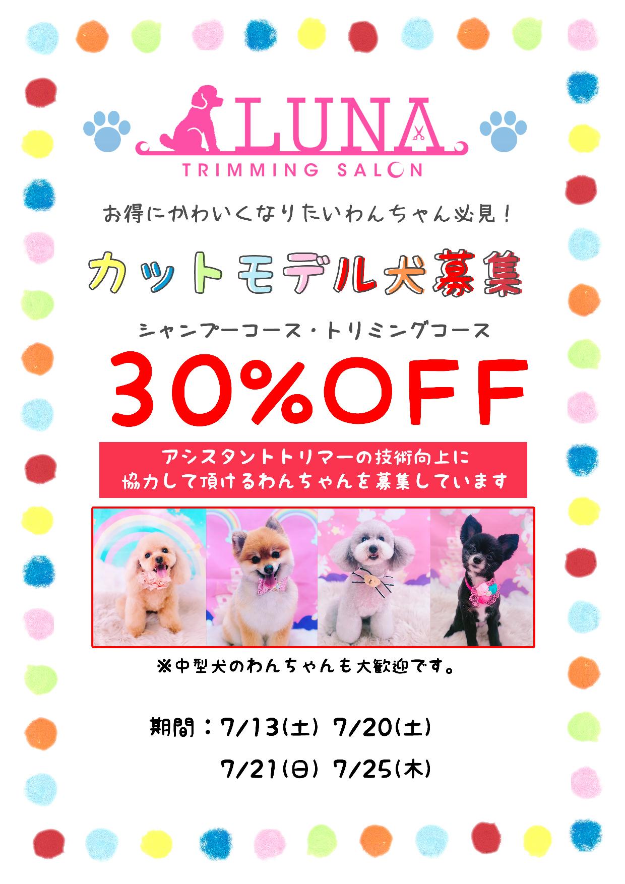 お得にかわいくなりたいわんちゃん必見!
