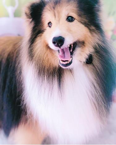 今日のお友達☺