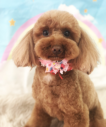 今日のお友達☺