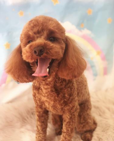 今日のお友達☺