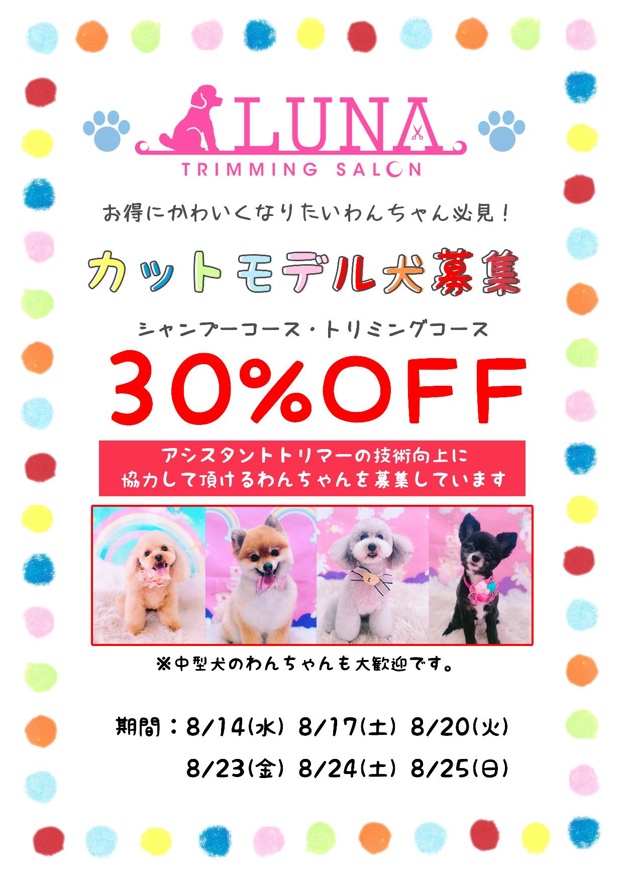 お得にかわいくなりたいわんちゃん必見！