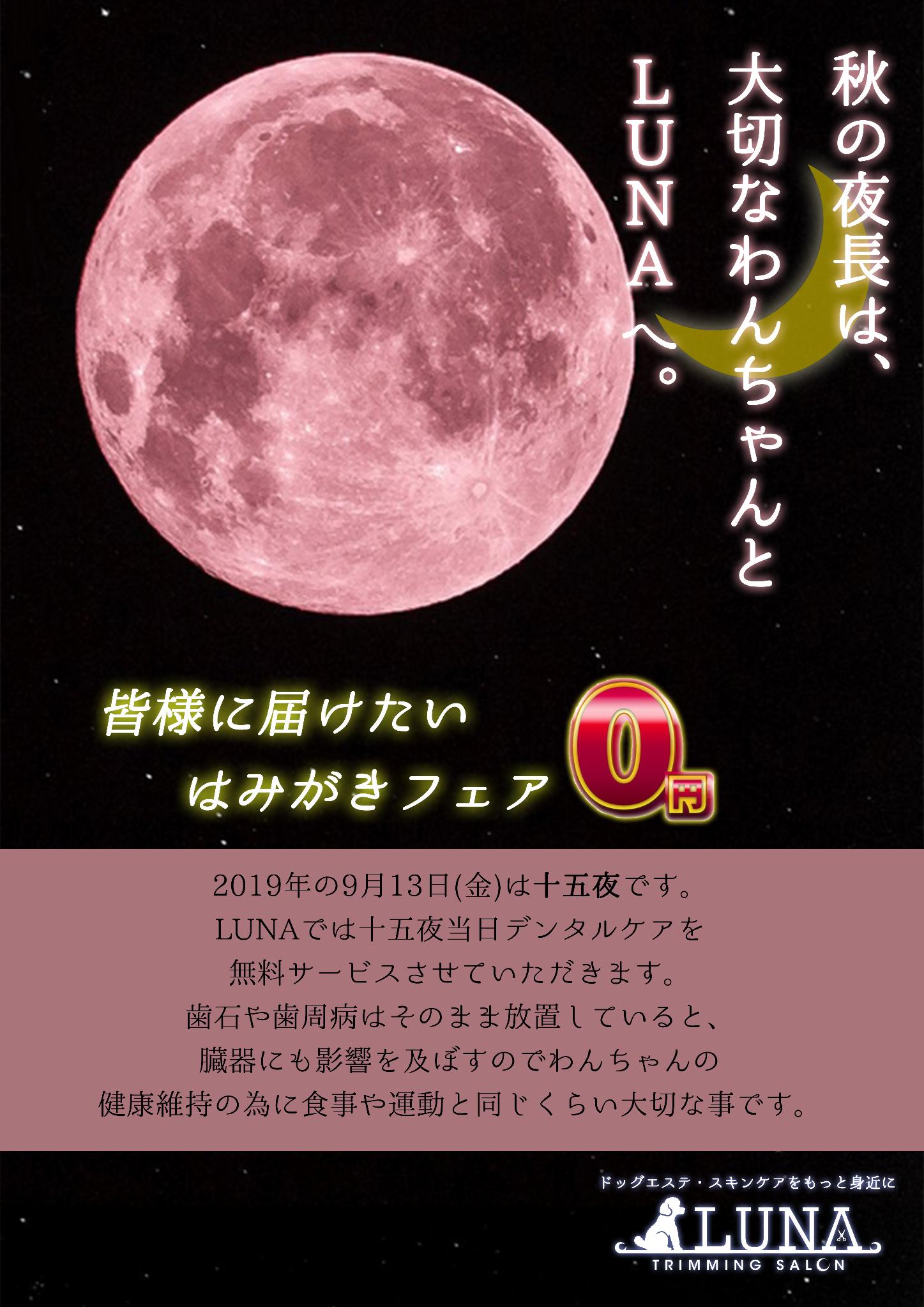 【皆様に届けたい歯磨きフェア】