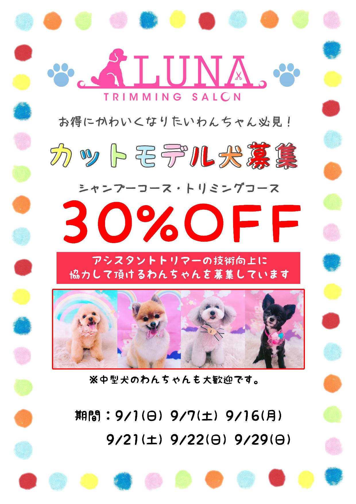 お得にかわいくなりたいわんちゃん必見!