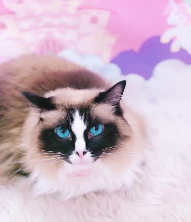 今日のお友達☺