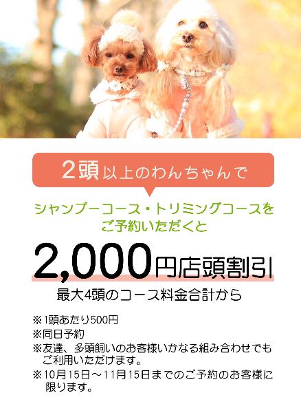 【2頭以上のわんちゃんで2000円店頭割引】