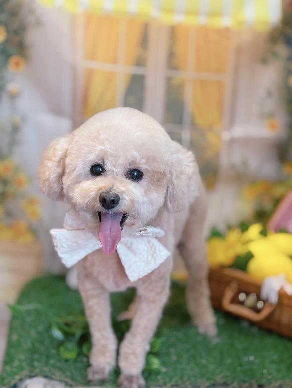 今日のお友達☺