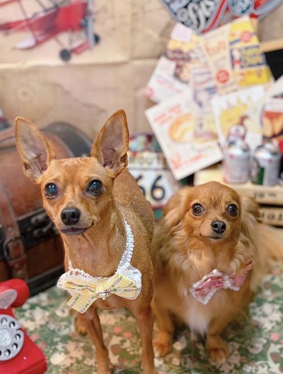 ✨本日のお客様✨