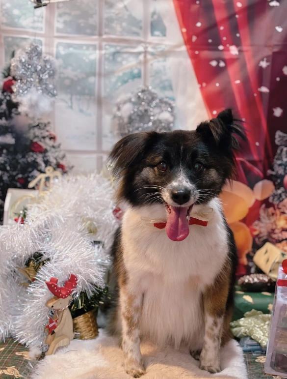 今日のお友達☺