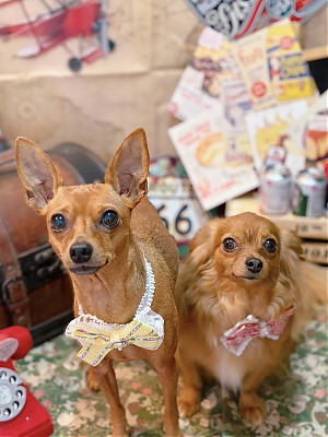 あんな＆かりん